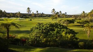 Ein Golfplatz mit üppigem Grün, Palmen und blauem Himmel.