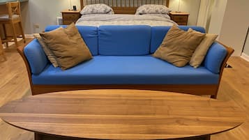 Smart TV, fireplace, DVD player, books