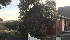 Un barrio residencial con cerca de madera, una casa de fachada roja y un árbol con flores rosadas.