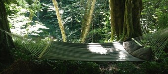 Camp Wolf at Lake Cushman
