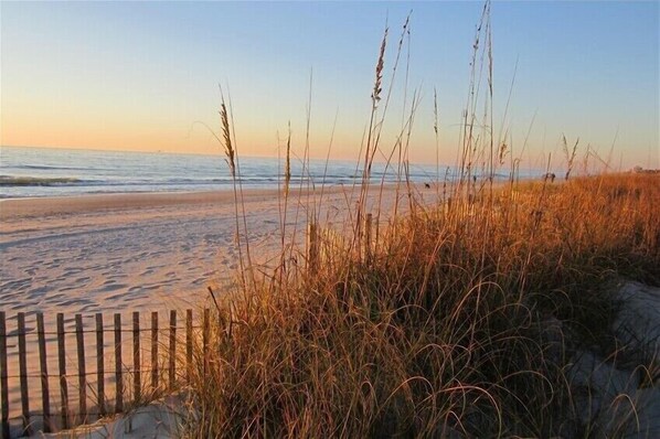 Am Strand