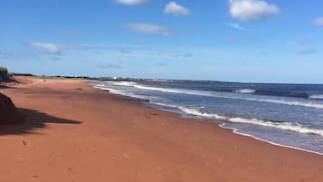 En la playa, camastros y toallas de playa 