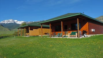 Esterni