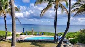 A pool area with a hammock, palm trees, and a view of the ocean.