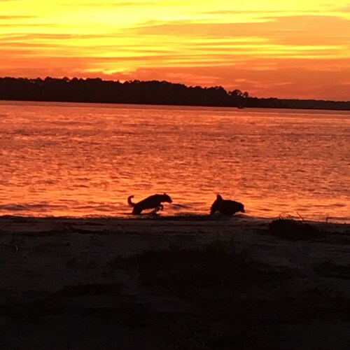 Walk 600' to Beach, Slp 10, Wi-Fi, Tidal Cr, perfect for family