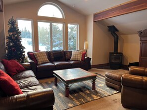 TV connectée, cheminée, jeux vidéo, lecteur de DVD