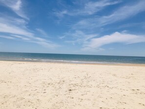 On the beach - Ocean Views! 75' from Gulf Of Mexico! Large deck for Family Relaxing (St. George Island)