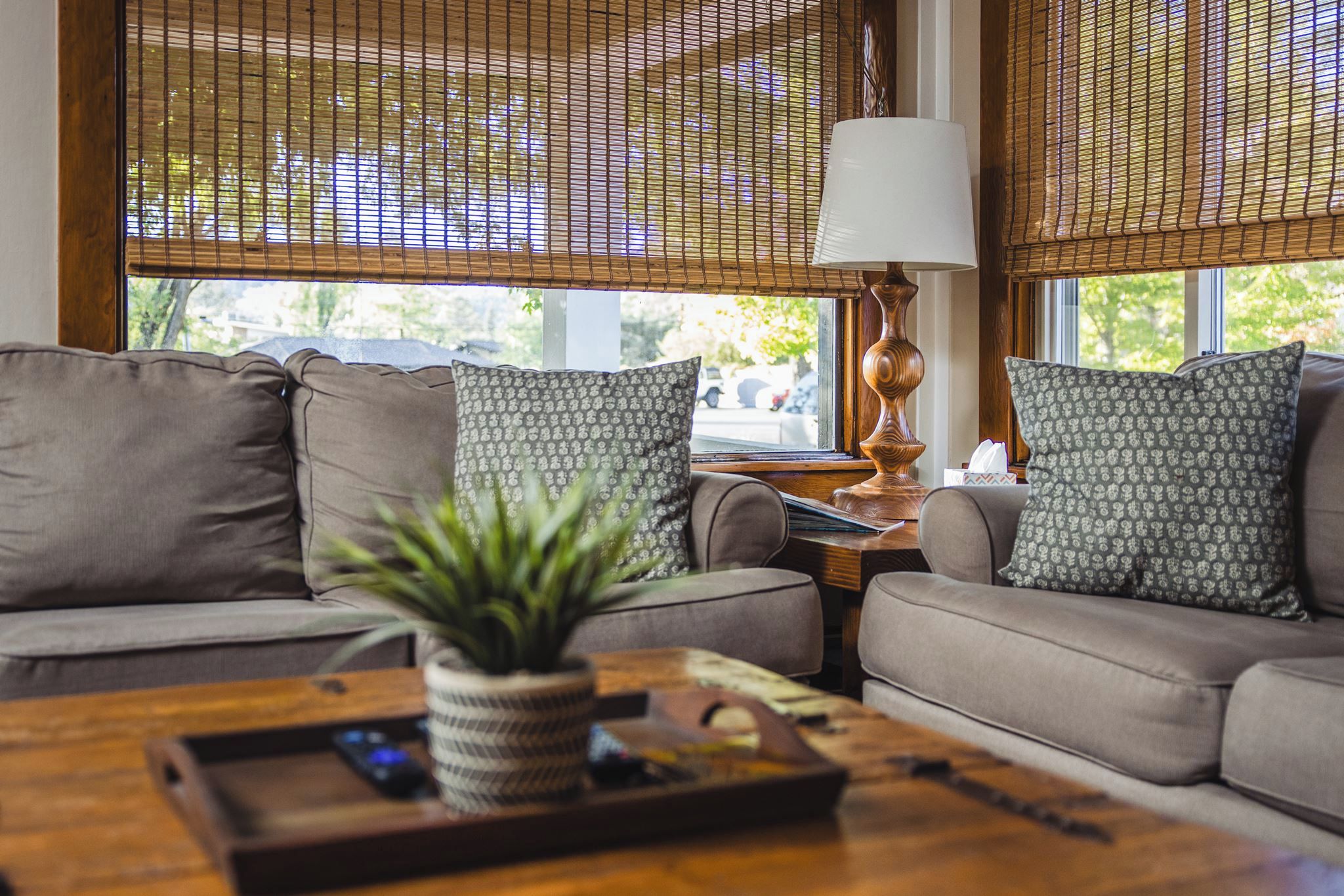 A living room with a sofa, two patterned pillows, a lamp, and a plant on a wooden coffee table.