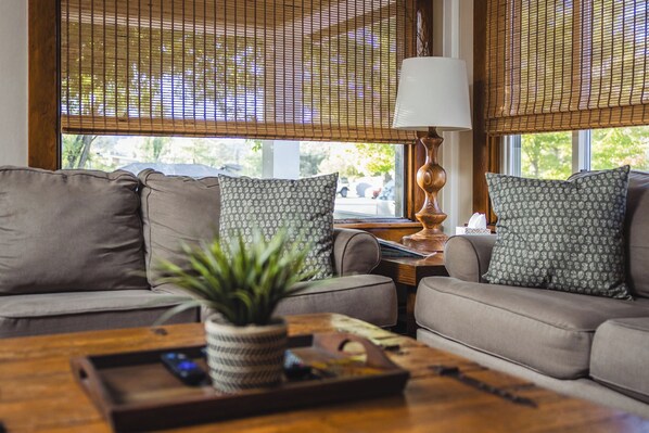 A living room with a sofa, two patterned pillows, a lamp, and a plant on a wooden coffee table.