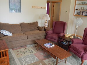 TV, DVD player, livros