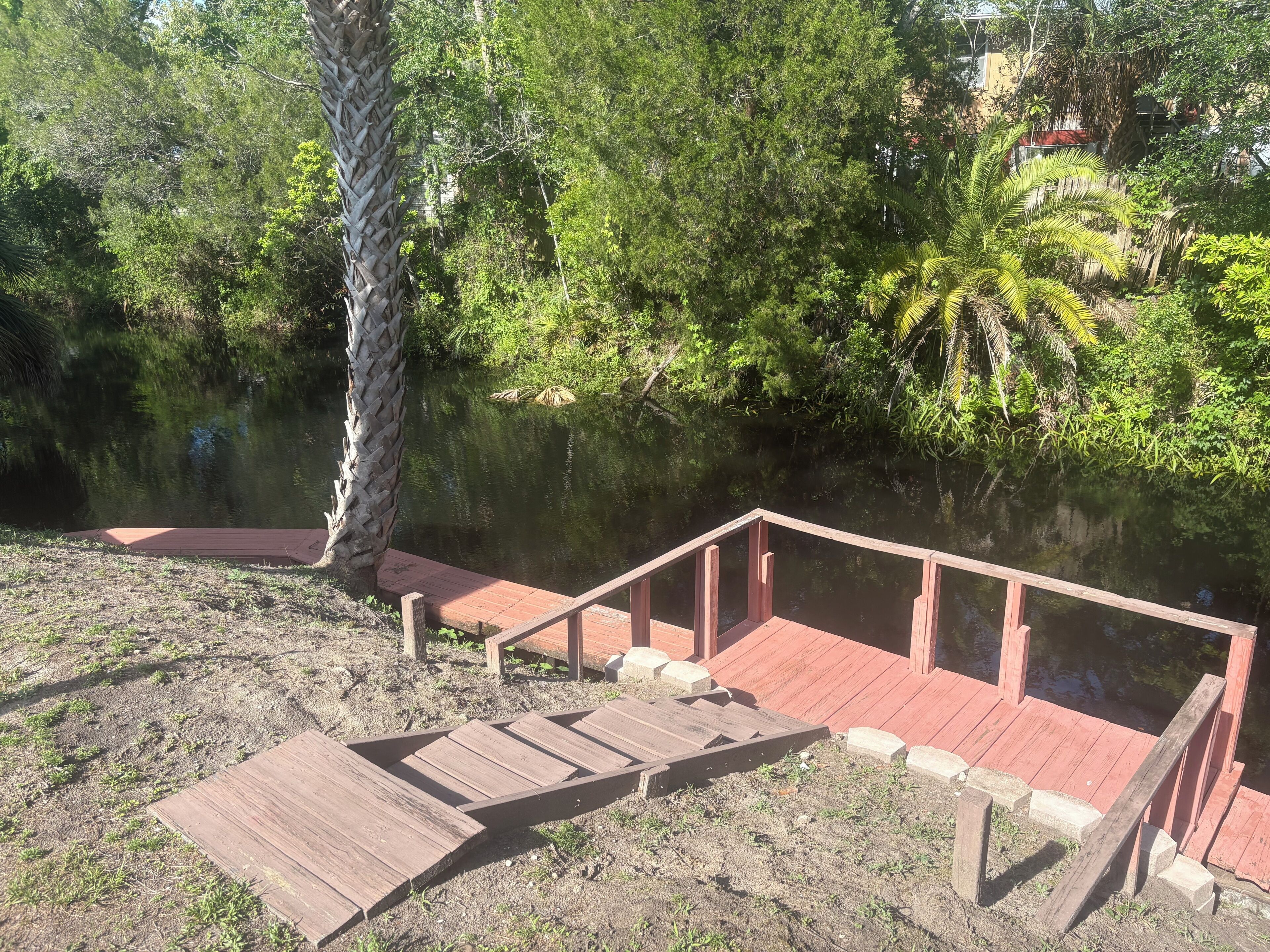 Un muelle de madera que se adentra en una masa de agua tranquila, rodeado de abundante vegetación y árboles.