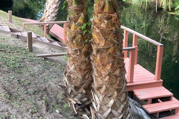 Àrea exterior de l'allotjament