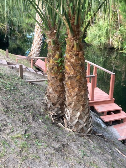 COOL CHAZ Waterfront River Rental-4Kayaks-1Canoe-2docks-boathouse