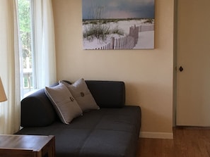 TV, fireplace, books
