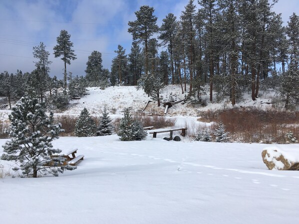 Un paisaje nevado con un banco de madera y un sendero cubierto de nieve.