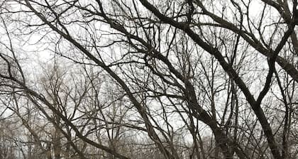 Uusittu! Lähellä lentokenttää, Downtown Milwaukee, ja monia muita nähtävyyksiä!