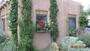 A building with vertical gardens and a window with flowers. - Favorite Downtown Adorable Adobe ~ 10 min walk to Plaza (Santa Fe)