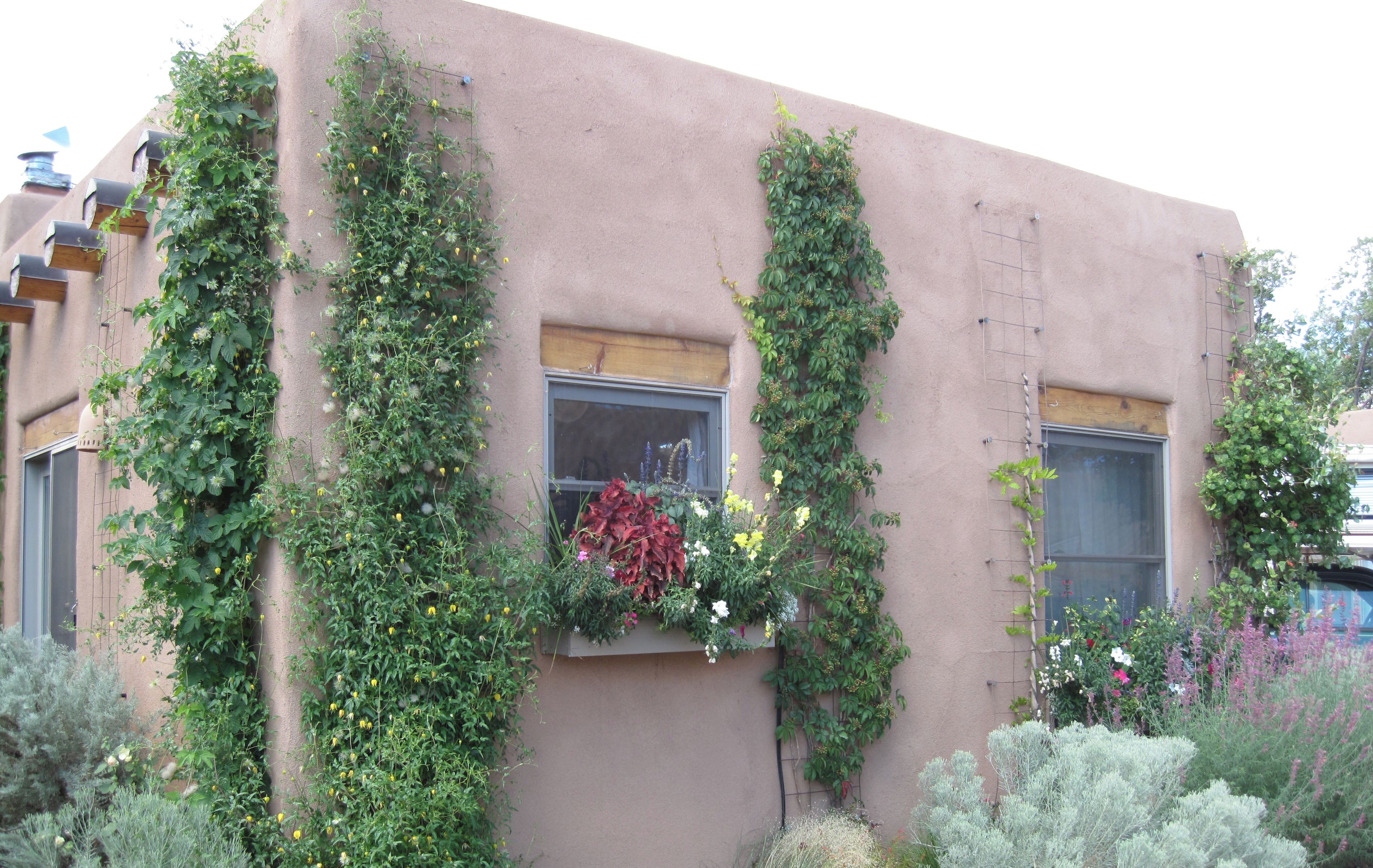 Un edificio con jardines verticales y una ventana con flores.