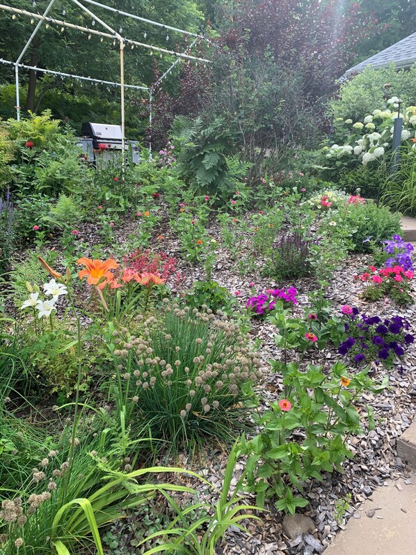 Um jardim com diversas plantas e flores, uma churrasqueira e um pergolado com luzes de cordão.