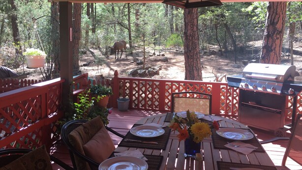 An outdoor patio with a dining table set for four, surrounded by red lattice railings, potted plants, and a barbecue grill. - Escape to Cool Twin Pines! (Pine)