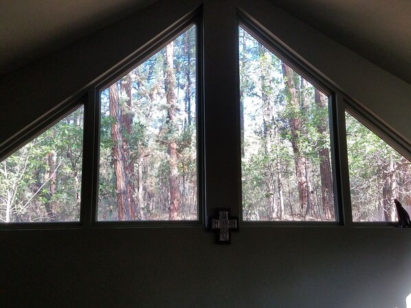 Enjoy a serene forest view from the room's large window.