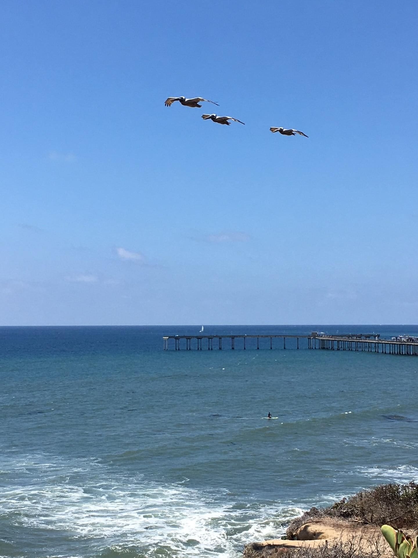 Solstolar och strandhanddukar