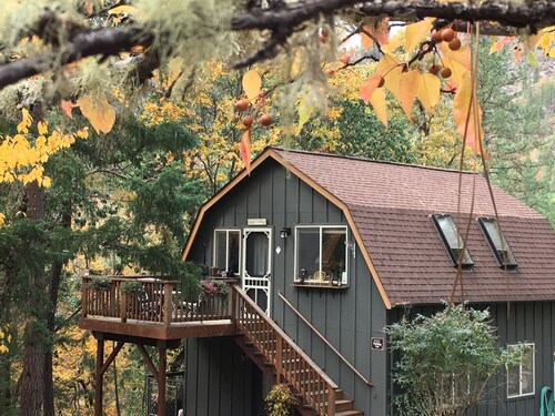 Rosie's Woodland Paradise! Come relax and rejuvenate!