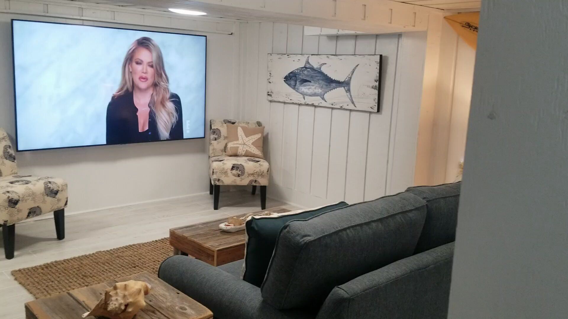 TV, DVD player, books, video library
