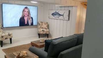 TV, DVD player, books, video library
