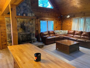 Smart TV, fireplace, DVD player, books