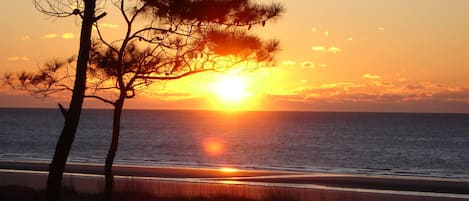 ビーチ、サンラウンジャー