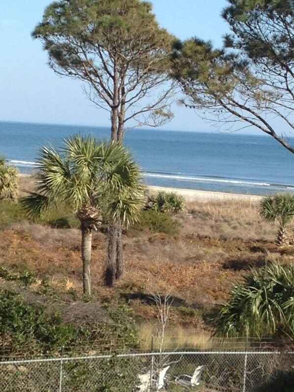 En la playa y camastros 