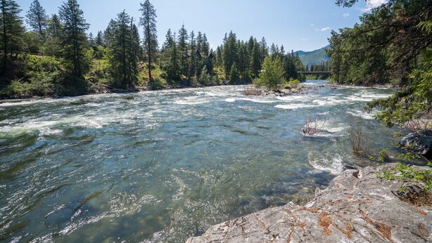 Un río que atraviesa una zona boscosa, con un puente al fondo.
