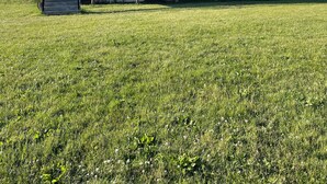 Ett modernt hus i två våningar med en balkong, en trappa och en gräsyta.
