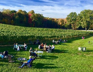 Outdoor dining - The Loft @ Lost Acres ~ A Peaceful Rural Escape on a Farm Winery! (Granby)