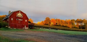 Exterior - The Loft @ Lost Acres ~ A Peaceful Rural Escape on a Farm Winery! (Granby)