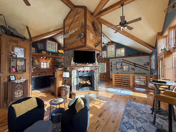 Smart TV, fireplace, books, video library