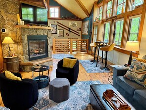 Smart TV, fireplace, books, video library