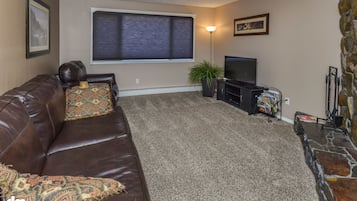 TV, fireplace, DVD player, video library