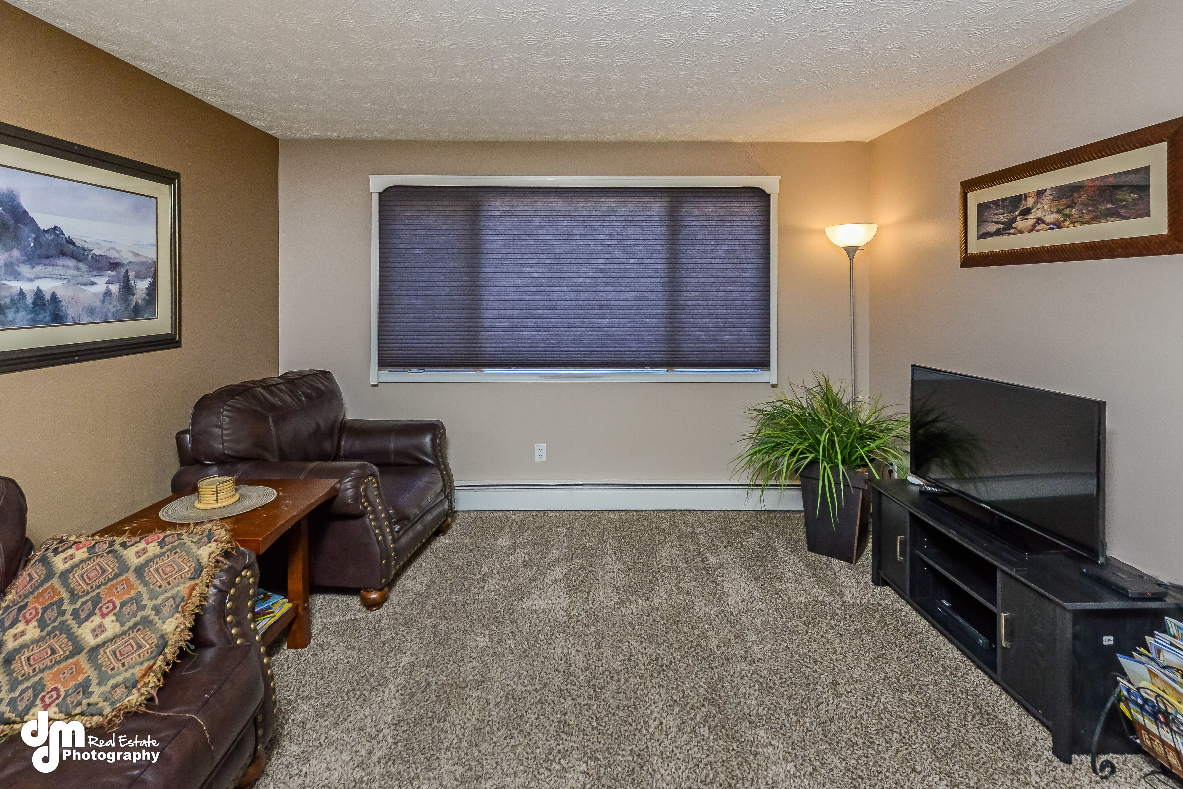 電視、壁爐、DVD 播放機、影像庫