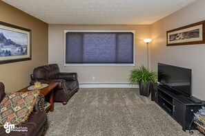 TV, fireplace, DVD player, video library