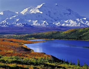 Unclassified image, 3 of 29, button