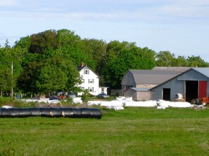 Exterior - Minutes from beautiful beaches - Luxury and Comfort with a Fabulous View  (St. Peter's Bay RR)
