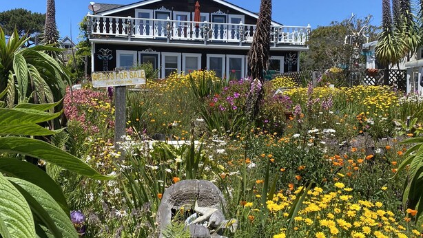 Una casa espaiosa amb un balcó, envoltada d'un jardí ple de flors i plantes diverses.