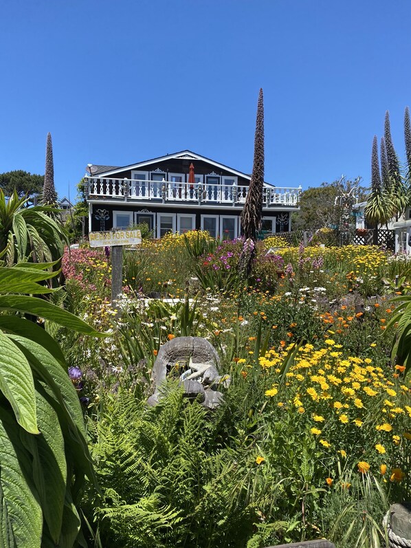 Property grounds - MONTHLY MENDO VILLAGE STYLISH HOME! EPIC BAY OCEAN & GARDEN VIEWS DOG FRIENDLY!! (Mendocino)