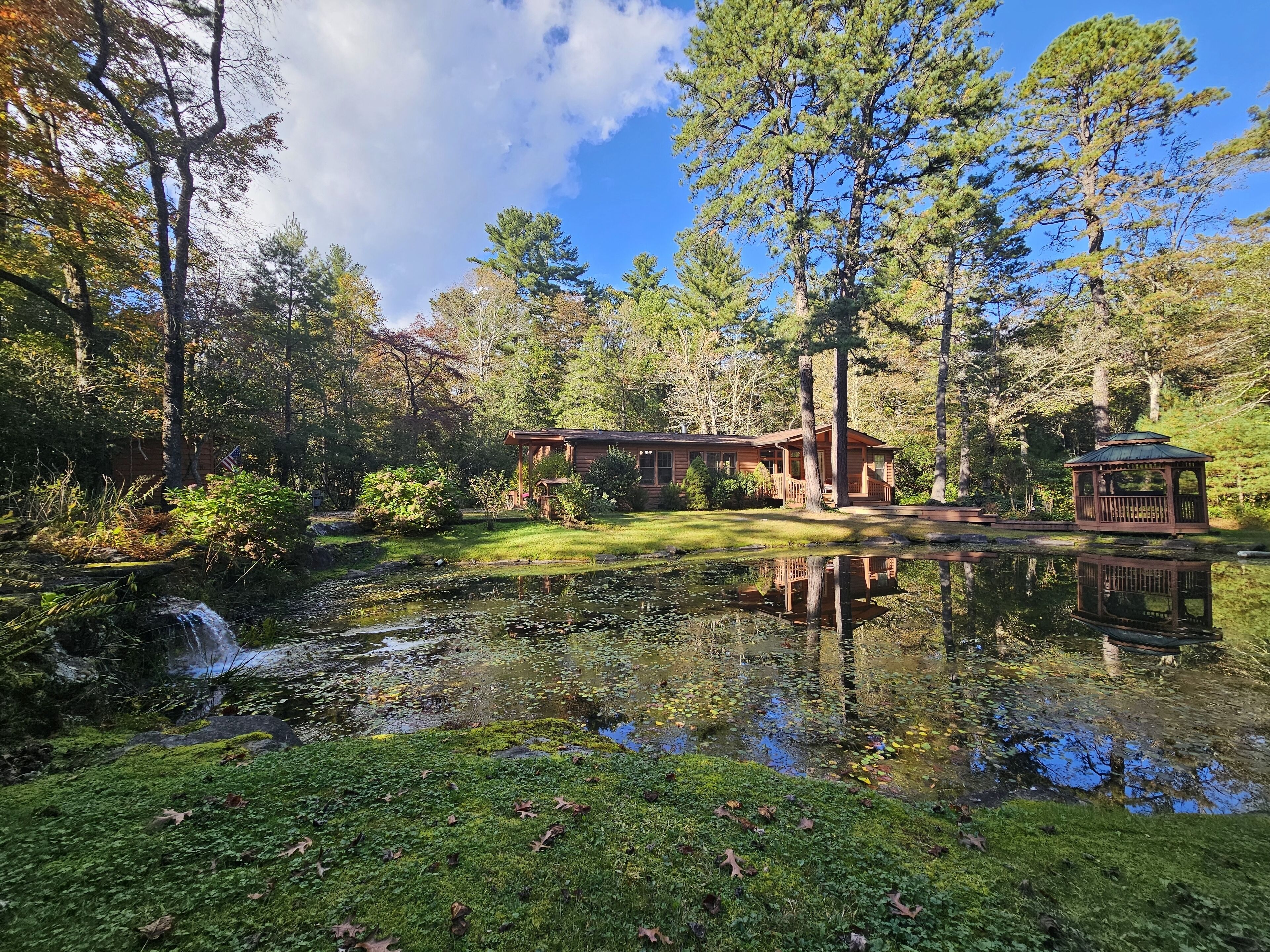 Front yard