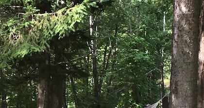 Gemütliche authentische Amish-Hütte, 5 Morgen Privatsphäre, 4-Rad-Trail, Schneemobil-Trail