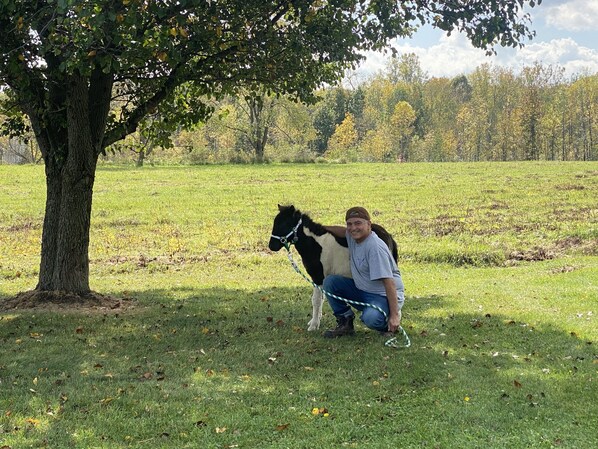 A person crouching next to a small horse in a grassy field with trees in the background.