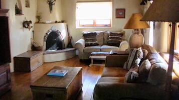 Televisie, een open haard, een dvd-speler en boeken