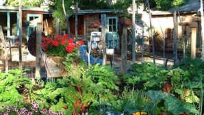 A garden with various plants and flowers, a wooden structure, and a bicycle. - Rural appeal yet so close to town (Taos)